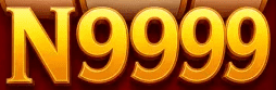 pkn9999.com Logo